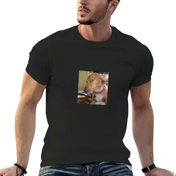 Yeni meme sevimli köpek göz kırpan yüz şüpheli T-Shirt sevimli giysiler spor fan t-shirt kore moda vintage t shirt t shirt erkekler